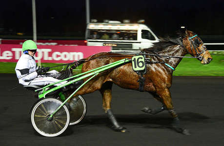 Actualités Hippiques